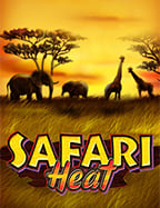 อยากเป็นเจ้าของเว็บพนันต้องรู้เรื่อง ทดลองเล่น